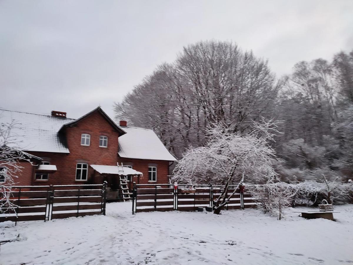 Apartament Zacisze Pod Bukami Gornica Zewnętrze zdjęcie